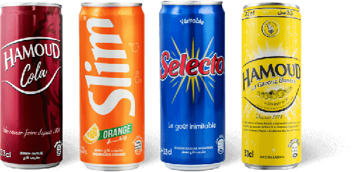 Canettes hamoud boualem (6U)